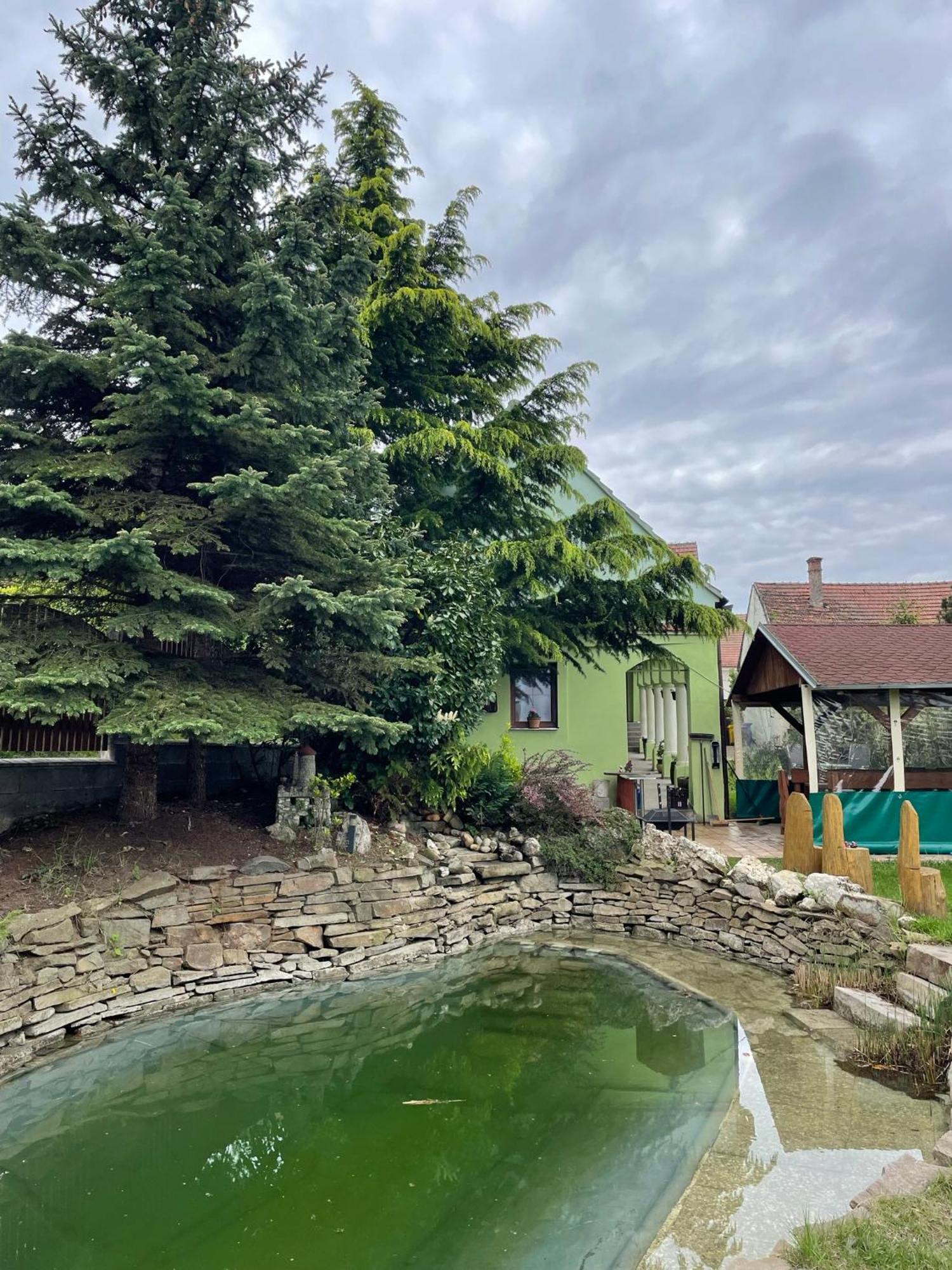 Hotel Na úpatí Pálavy Horni Vestonice Exteriér fotografie