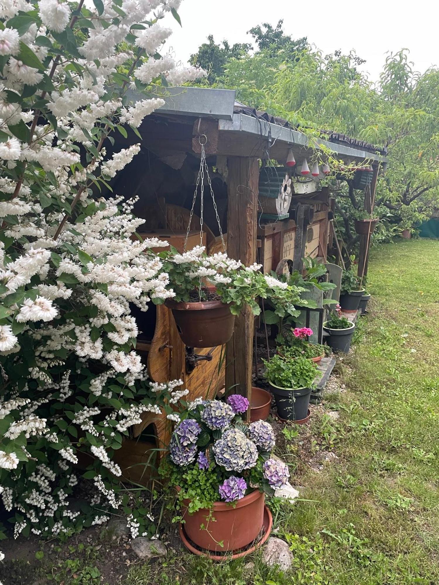 Hotel Na úpatí Pálavy Horni Vestonice Exteriér fotografie